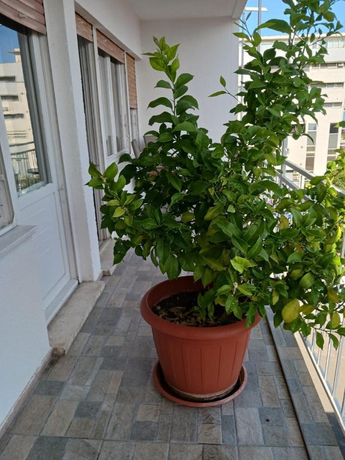 Room With Private Toilet And Terrace In City Center In Shared Apartment Спліт Екстер'єр фото